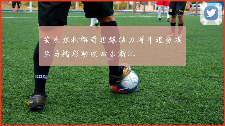 安杰尔科维奇进球助力海牛追分埃朱马精彩助攻回击浙江